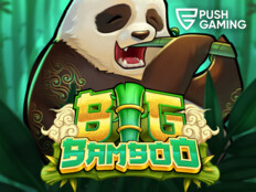 Springbok casino no deposit bonus code89